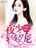 试婚100天:夜少,宠上瘾